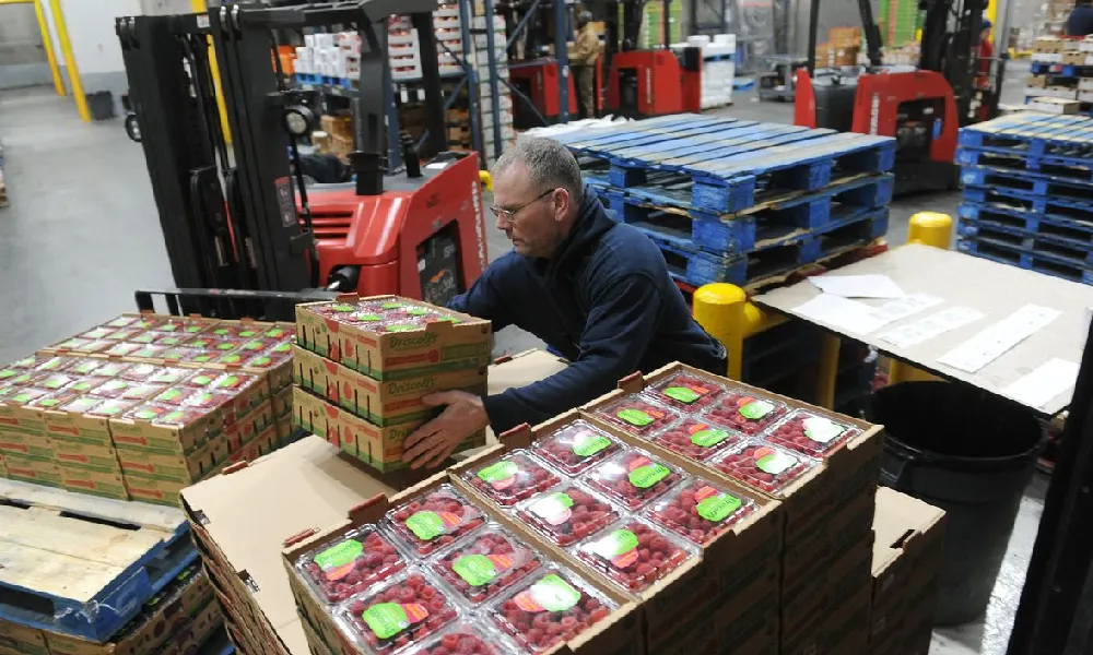 Freighbrid Logistics